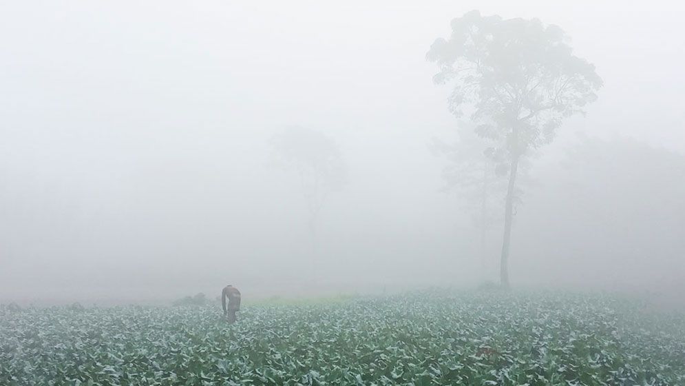 দেশের উত্তর-পশ্চিমাঞ্চল দিয়ে শীতের আগমন, প্রথম শৈত্যপ্রবাহ ডিসেম্বরে
