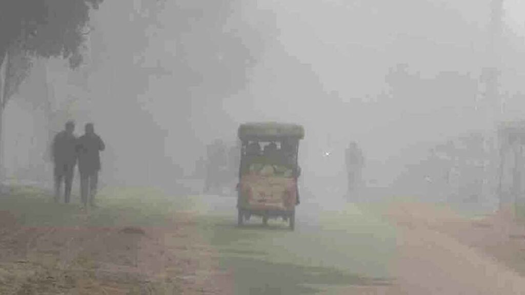 ঈশ্বরদীতে জেঁকে বসেছে শীত, তাপমাত্রা নেমেছে ১১ ডিগ্রিতে