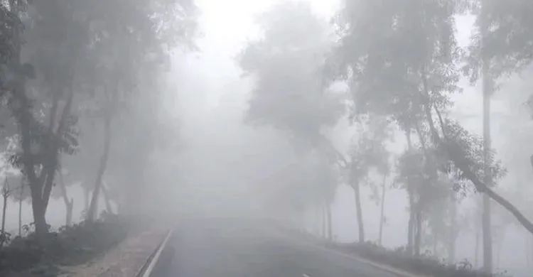 ধেয়ে আসছে শৈত্যপ্রবাহ ‘পরশ’, তাপমাত্রা নামতে পারে ৮ ডিগ্রিতে