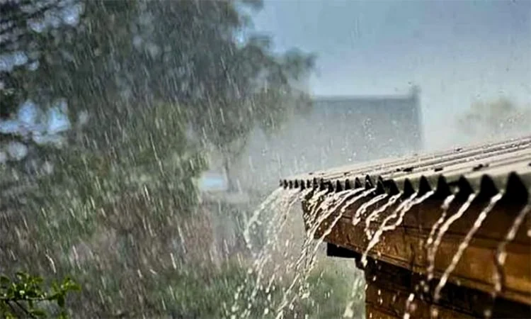 দেশের চার বিভাগে ২ দিন বৃষ্টির সম্ভাবনা