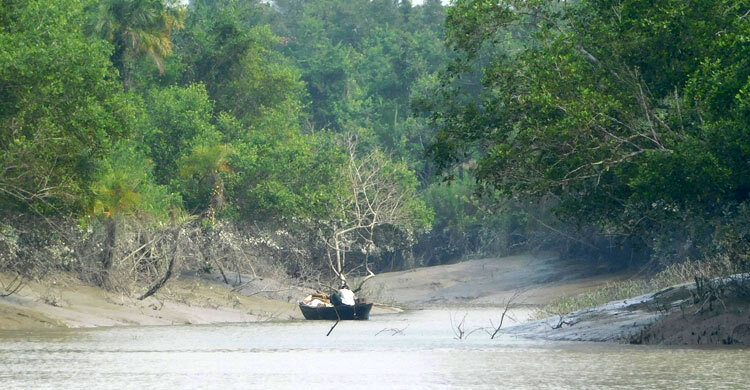 সুন্দরবন প্রবেশে ৩ মাসের নিষেধাজ্ঞা শুরু