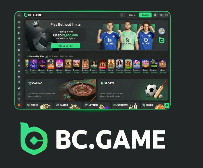 Step-by-Step Guide to BC.Game Registration Process -235638369